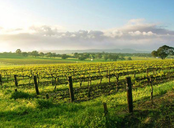 Wineries