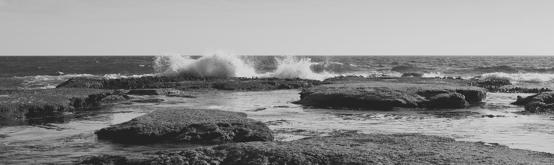 Waves